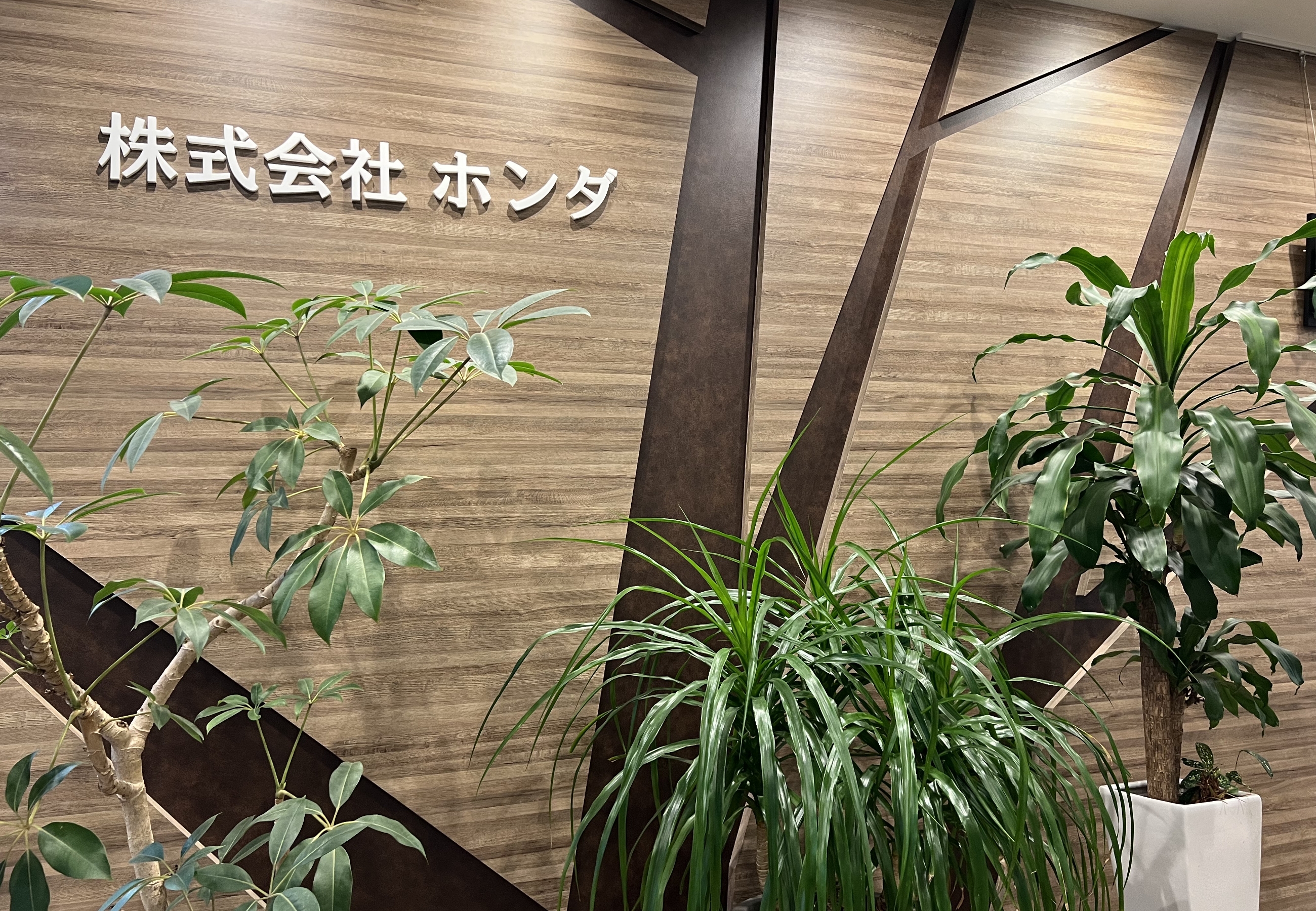 カーボーイ穴あきコーン｜安全用品｜株式会社ホンダ